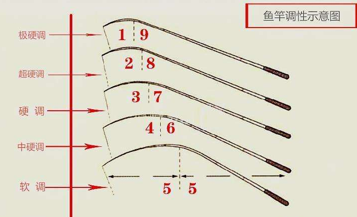 鱼竿三七调还是二八调是什么意思?