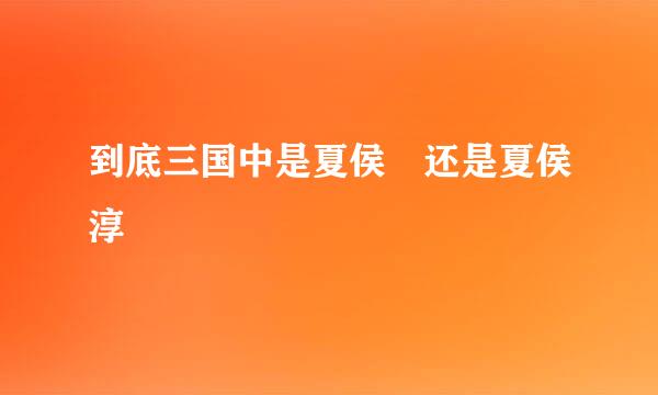 到底三国中是夏侯惇还是夏侯淳