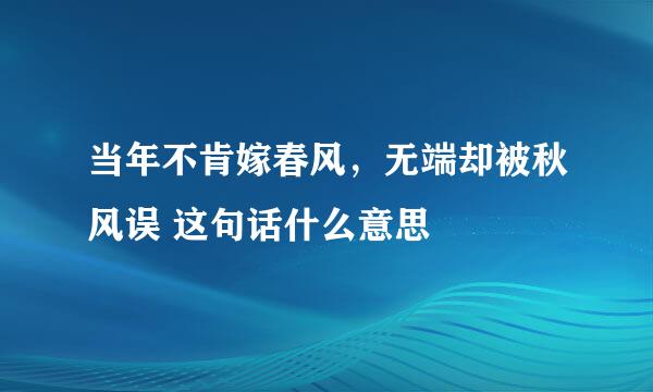 当年不肯嫁春风，无端却被秋风误 这句话什么意思