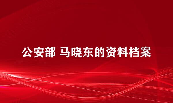 公安部 马晓东的资料档案