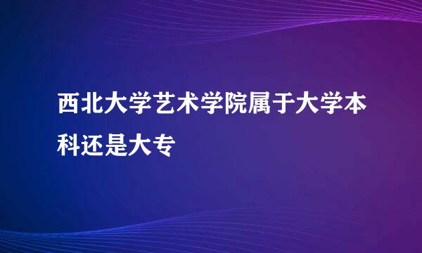 西北大学艺术学院属于大学本科还是大专