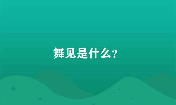 舞见是什么？