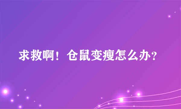 求救啊！仓鼠变瘦怎么办？