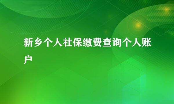 新乡个人社保缴费查询个人账户