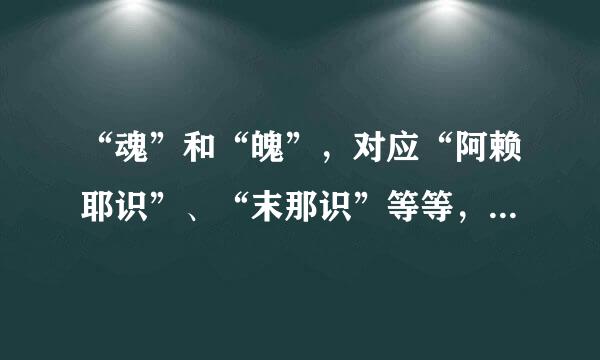 “魂”和“魄”，对应“阿赖耶识”、“末那识”等等，是什么关系？