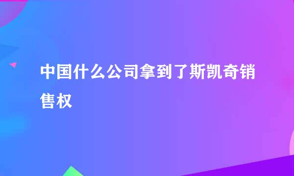 中国什么公司拿到了斯凯奇销售权