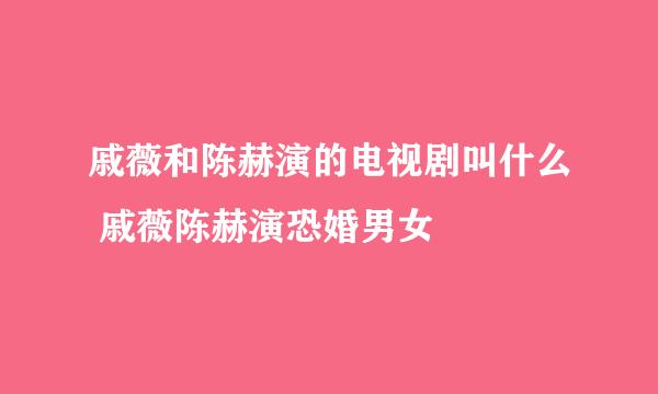 戚薇和陈赫演的电视剧叫什么 戚薇陈赫演恐婚男女