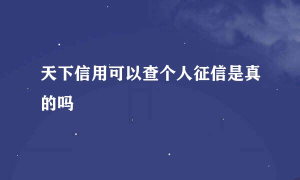 天下信用可以查个人征信是真的吗