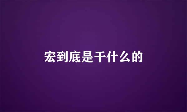 宏到底是干什么的