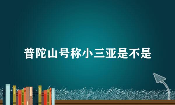 普陀山号称小三亚是不是