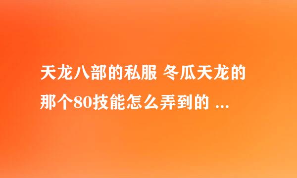 天龙八部的私服 冬瓜天龙的那个80技能怎么弄到的 知道的告诉下谢谢