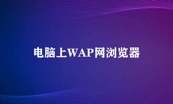 电脑上WAP网浏览器