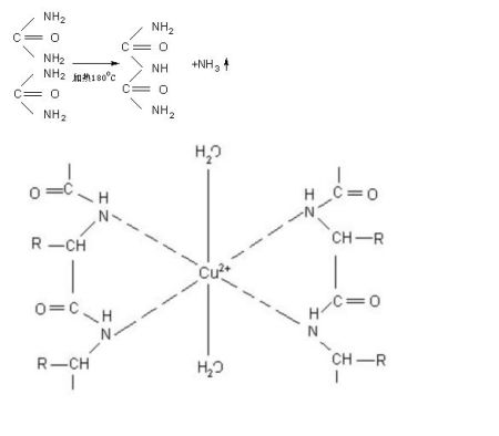 蛋白质与双缩脲发生显色反应的原理