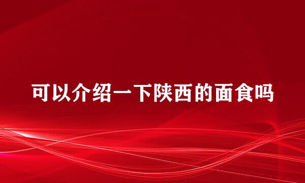 可以介绍一下陕西的面食吗