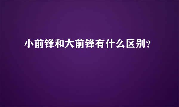 小前锋和大前锋有什么区别？