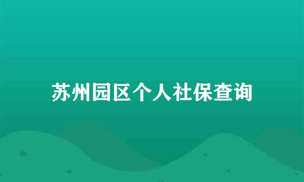 苏州园区个人社保查询