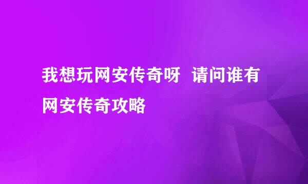 我想玩网安传奇呀  请问谁有网安传奇攻略