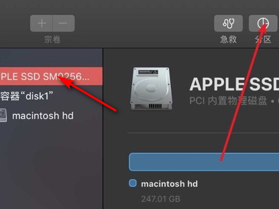 重装系统mac系统，选择磁盘工具想重新分区，可那个分区页面选不了，怎么办