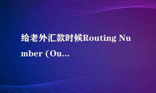 给老外汇款时候Routing Number (Outside of USA) 是什么意思啊？ ABA number呢，是不是指同一个东西的啊？