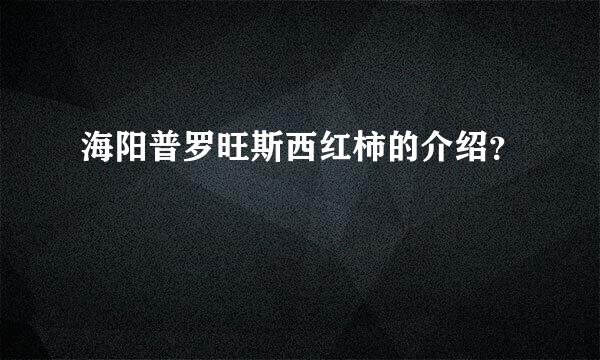 海阳普罗旺斯西红柿的介绍？