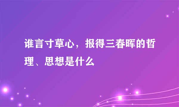 谁言寸草心，报得三春晖的哲理、思想是什么