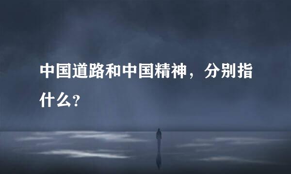 中国道路和中国精神，分别指什么？