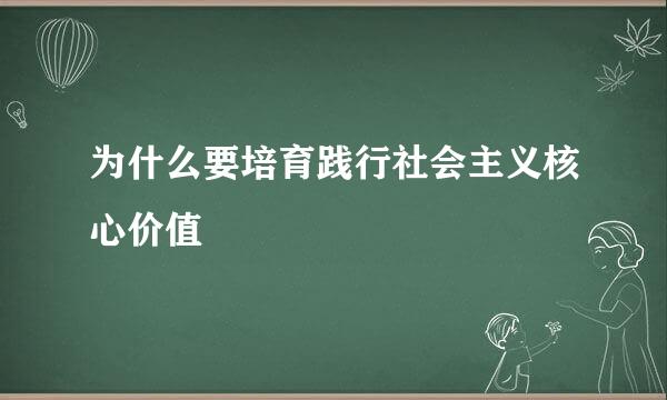 为什么要培育践行社会主义核心价值