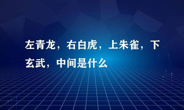 左青龙，右白虎，上朱雀，下玄武，中间是什么