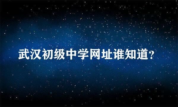 武汉初级中学网址谁知道？