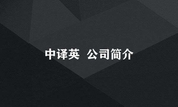 中译英  公司简介