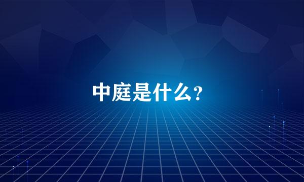 中庭是什么？