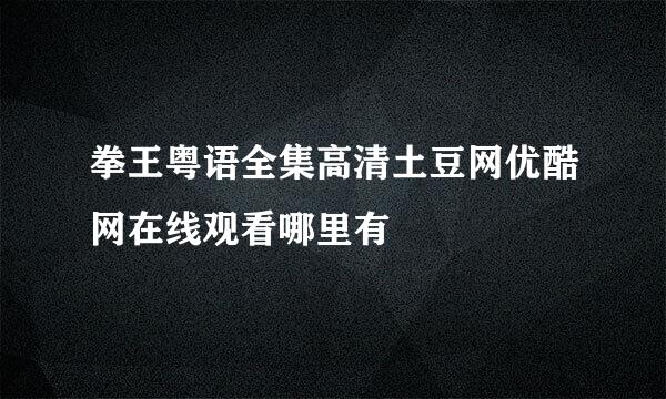 拳王粤语全集高清土豆网优酷网在线观看哪里有