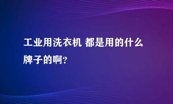 工业用洗衣机 都是用的什么牌子的啊？