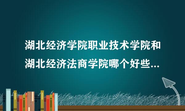 湖北经济学院职业技术学院和湖北经济法商学院哪个好些 请慎重回答