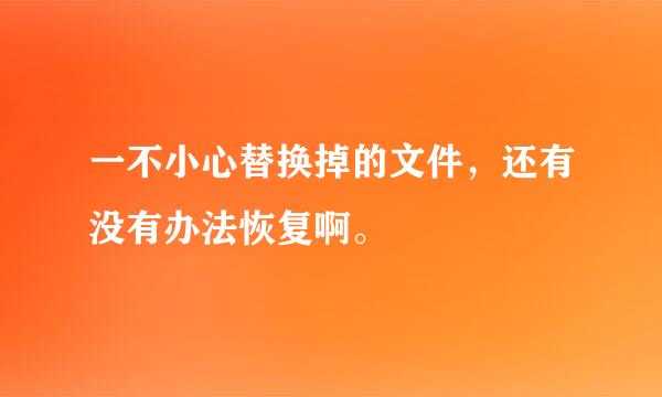 一不小心替换掉的文件，还有没有办法恢复啊。