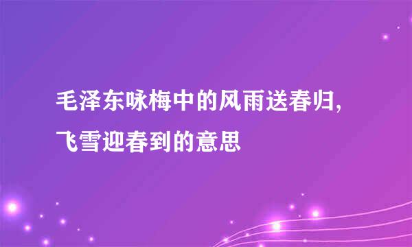 毛泽东咏梅中的风雨送春归,飞雪迎春到的意思