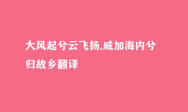 大风起兮云飞扬,威加海内兮归故乡翻译