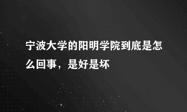 宁波大学的阳明学院到底是怎么回事，是好是坏