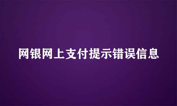 网银网上支付提示错误信息