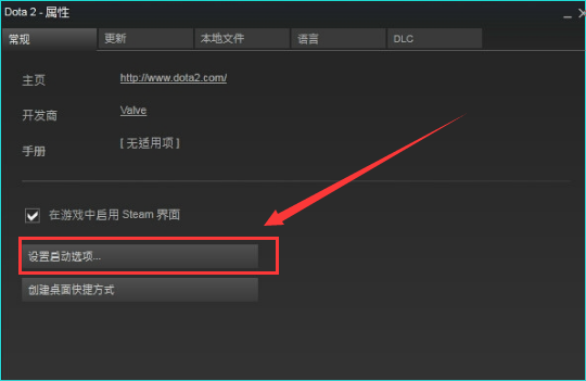 dota2,steam的启动项在哪修改?