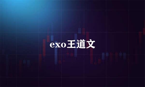 exo王道文