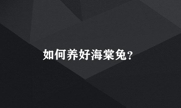 如何养好海棠兔？