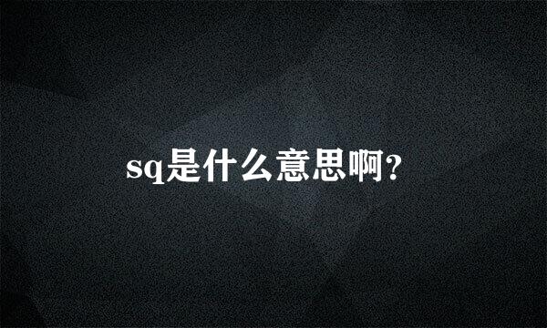 sq是什么意思啊？