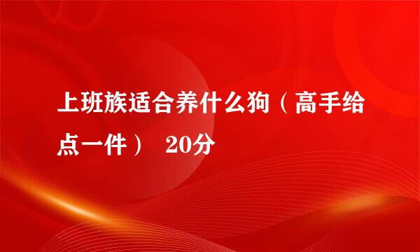 上班族适合养什么狗（高手给点一件）  20分