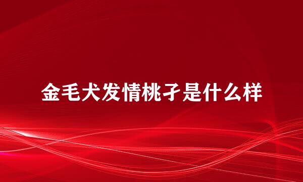 金毛犬发情桃孑是什么样