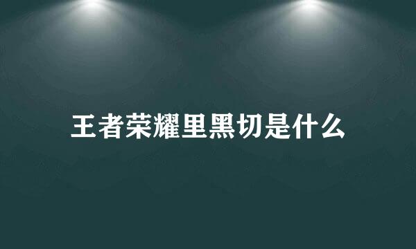 王者荣耀里黑切是什么