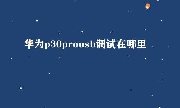 华为p30prousb调试在哪里