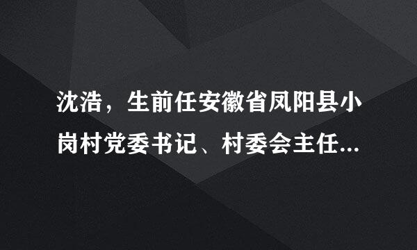 沈浩，生前任安徽省凤阳县小岗村党委书记、村委会主任，为小岗村的发展兢兢业业，推动小岗村走上了脱贫致