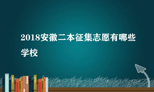 2018安徽二本征集志愿有哪些学校