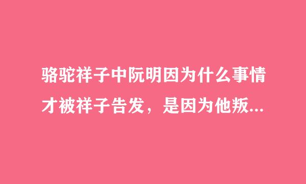 骆驼祥子中阮明因为什么事情才被祥子告发，是因为他叛国还是乱党